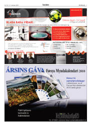 Síða 5