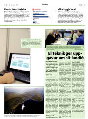Síða 11