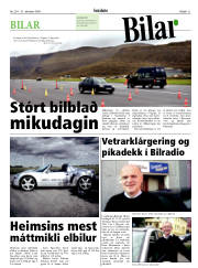 Síða 21