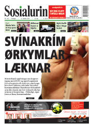Síða 1