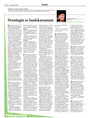Síða 13
