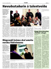 Síða 17