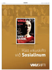Síða 8