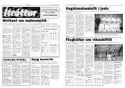 Síða 14