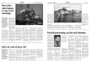 Síða 6
