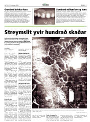 Síða 11