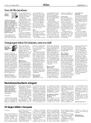 Síða 13