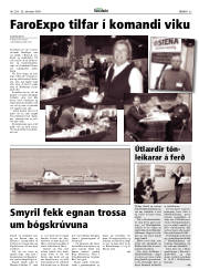 Síða 33