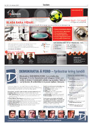 Síða 3