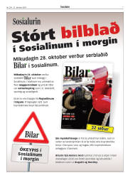 Síða 7