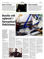 Síða 11