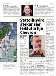 Síða 17