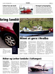 Síða 11