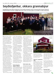 Síða 17