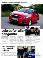 Síða 8