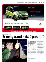 Síða 11