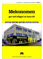 Síða 3