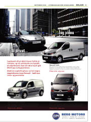 Síða 17