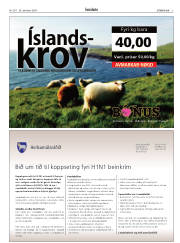 Síða 3
