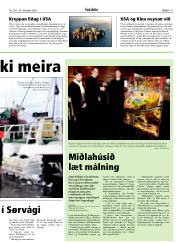 Síða 11