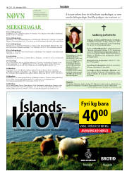 Síða 13