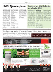 Síða 5