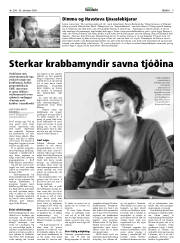 Síða 9