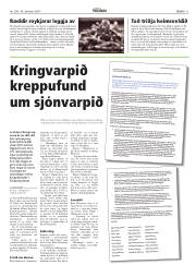 Síða 11