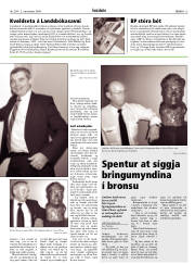 Síða 13