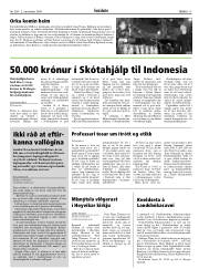 Síða 15