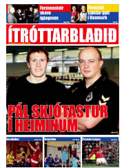 Síða 17
