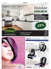 Síða 8