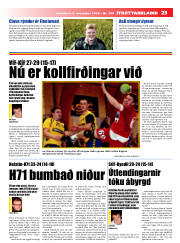 Síða 23