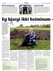 Síða 4