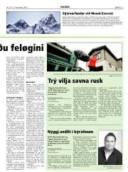 Síða 11