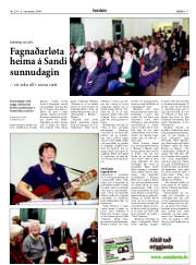 Síða 17