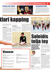 Síða 23