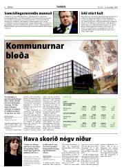 Síða 8