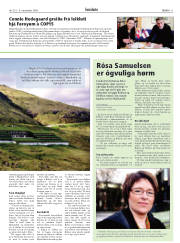 Síða 11