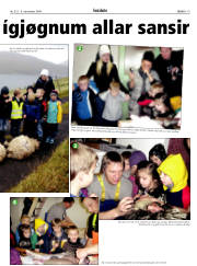 Síða 19