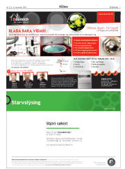 Síða 5