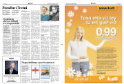 Síða 2