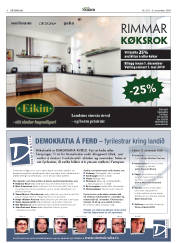 Síða 8