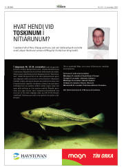 Síða 18