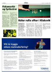 Síða 20