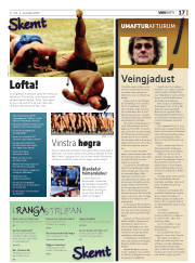 Síða 17