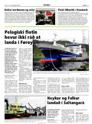 Síða 11