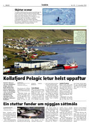 Síða 6