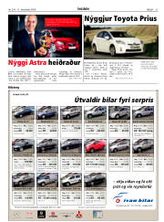Síða 21