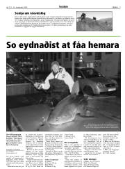 Síða 9